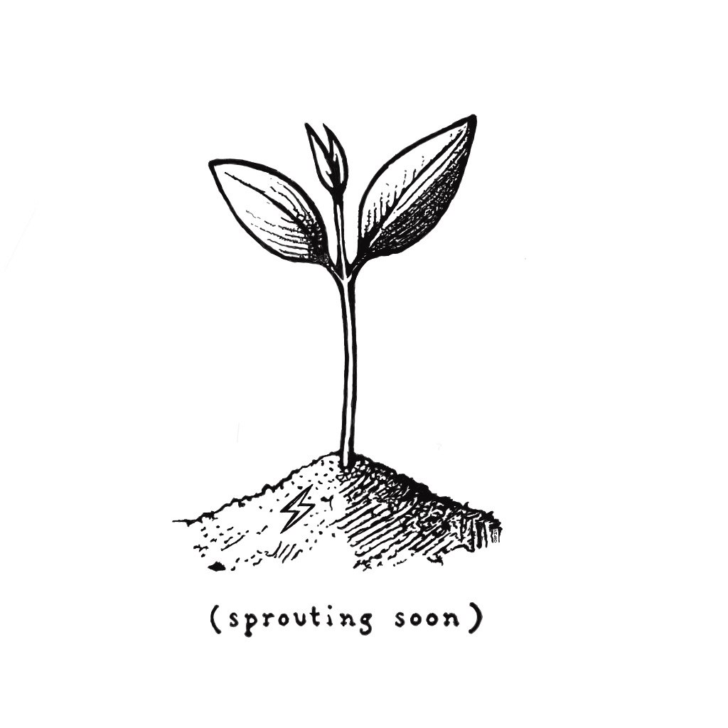 inscription 04365afc304ba5ed3374a15933785fa06830996af3e59585dfd83cd2793df98ai1330