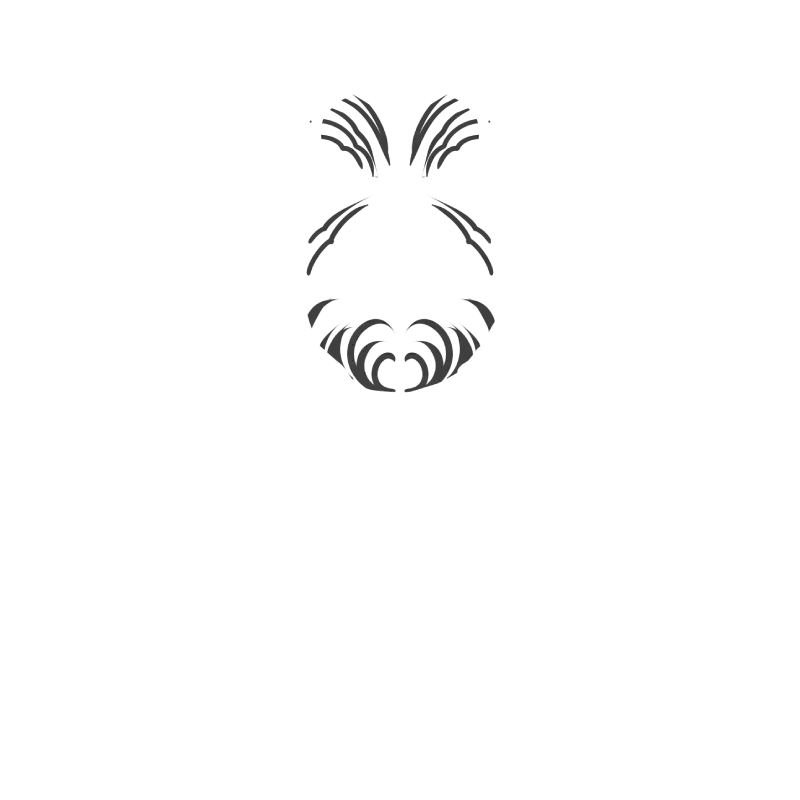 inscription 08c352ff773d4b4556fbd2963ce100461d99e5fd865aa103fe6d39774dbdd051i5