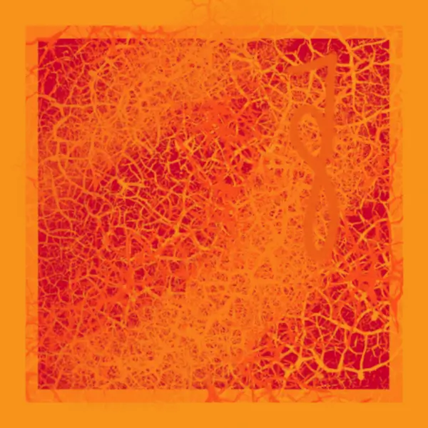 inscription 0f07c0cd05d462bcc26868a2aeea9624b938d310dcc4cd72f5fbafd5b73896dbi2