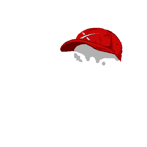 inscription 18456758496a7cc63650960122bb0739d34db6ebd9f19e909b42e0fda94a72a0i0