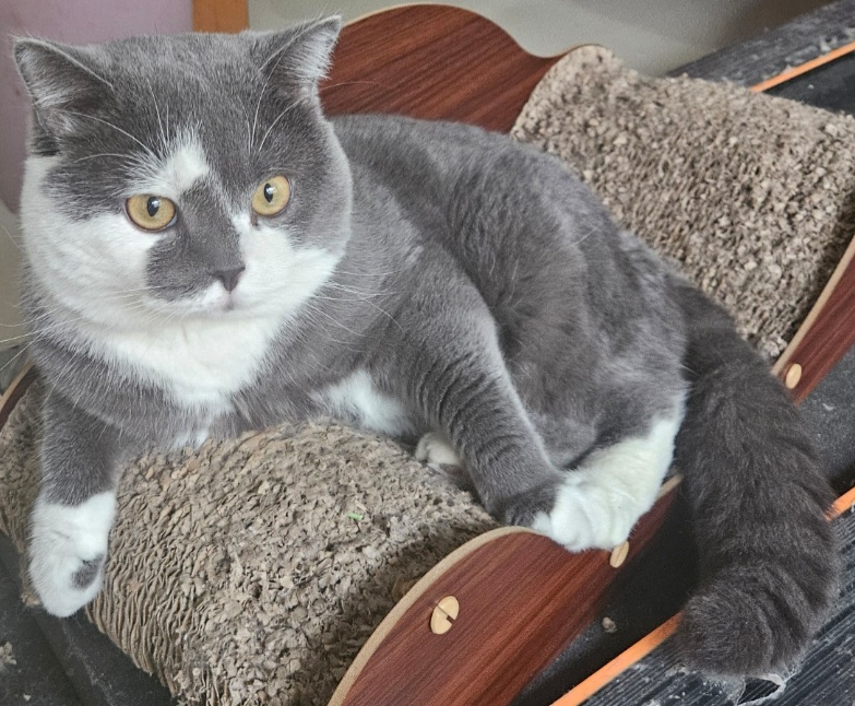 inscription 20e4d681add4c03f835c69f96460dbb4d8b88292f4175bbc222d40e01b2bae86i0