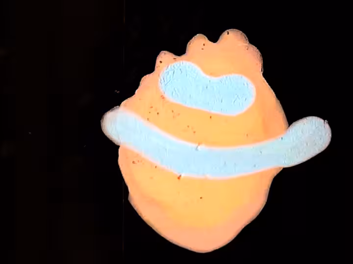 inscription 27ae770330bff7d81cc9f90b682fa1fc7b80c0a0dc5b8c82b746b2ec734bc6d8i23