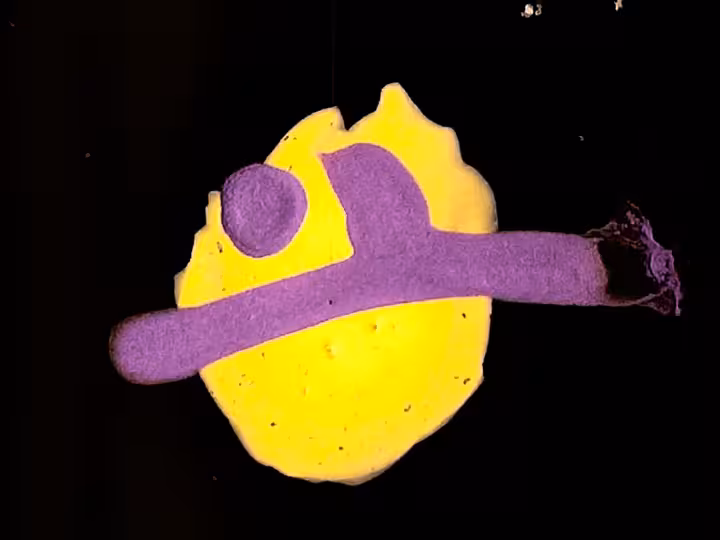 inscription 27ae770330bff7d81cc9f90b682fa1fc7b80c0a0dc5b8c82b746b2ec734bc6d8i7