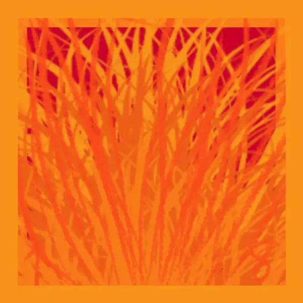 inscription 2a4646774f0a1d02e8173fba0a14d1224549a0e5b8b7cd34557e8a89713b14b5i6