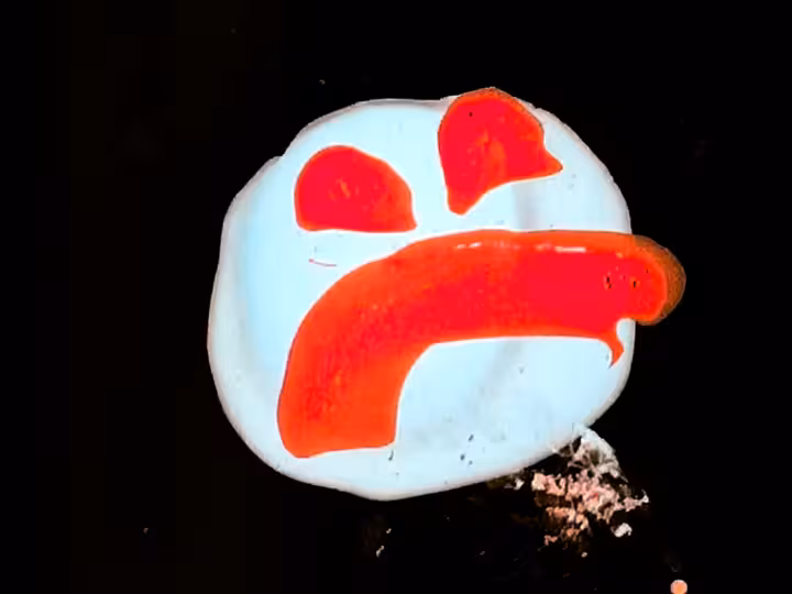 inscription 46126dda16a5e0c62aa61dba977f89b88fb92d11610a21d6e1c53e2ae8c3d5d2i0