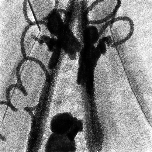 inscription 86c48fd12d36e27896f57c4e8fed71d6657a1c5bc99c1811ee5c730df5cc06e3i2