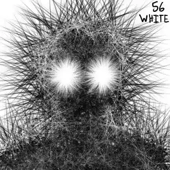 inscription a3906de6d2518fbfa56054334526f9a118a57e6a7bb195048c33db4d02aa9ecai0