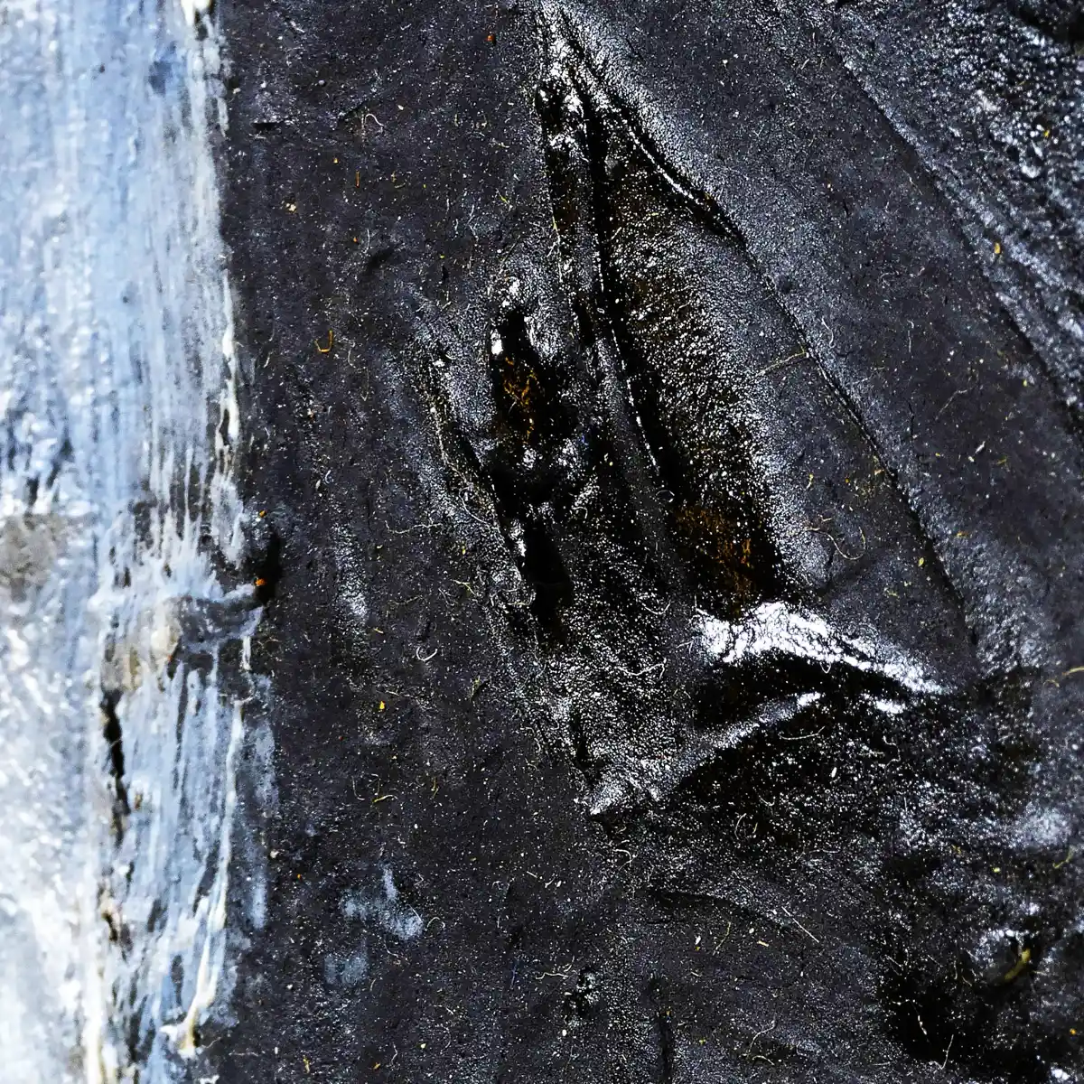 inscription a54b596cced8383647eba0fee621cc27b2360af3891b982534c698ccea0bff30i0