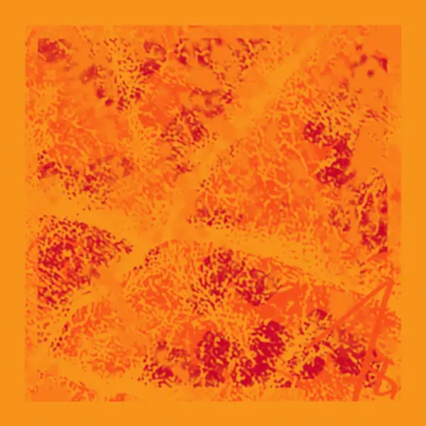 inscription a5901934c05c7a3dcae1b5a28c9718c10d47755e6ed9e8a1091bca02f1c3da2ai3