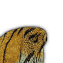 inscription be0d08c34ec5c8404caba54a577d4d4cf12dc43911c580a6fe7d2204e784c0f0i18