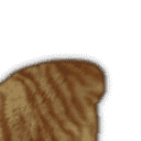 inscription be0d08c34ec5c8404caba54a577d4d4cf12dc43911c580a6fe7d2204e784c0f0i19