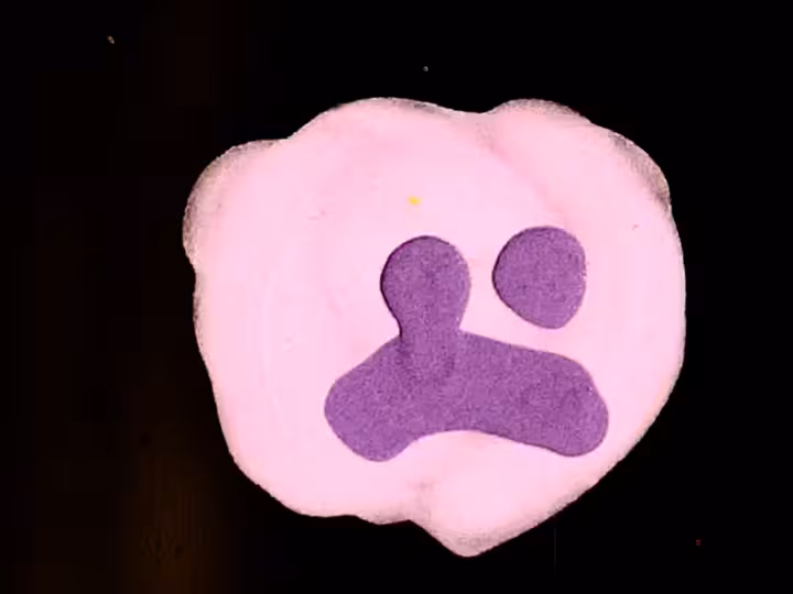 inscription c3074dbdf68103cb2ea8364c22be5ee1800088a4c1d3c4d91e7c5e76d1ce7bb2i0