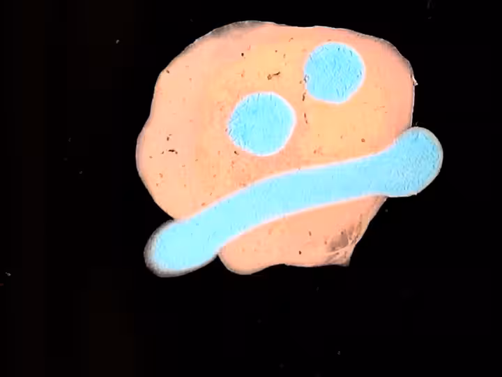 inscription c3074dbdf68103cb2ea8364c22be5ee1800088a4c1d3c4d91e7c5e76d1ce7bb2i17