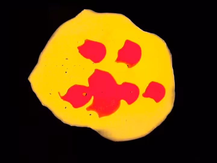 inscription c3074dbdf68103cb2ea8364c22be5ee1800088a4c1d3c4d91e7c5e76d1ce7bb2i29