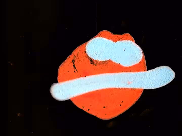 inscription c31a060d5c5c95643cc2a0dbeca45eb89efd1f676442f80231410affb694e2a6i13