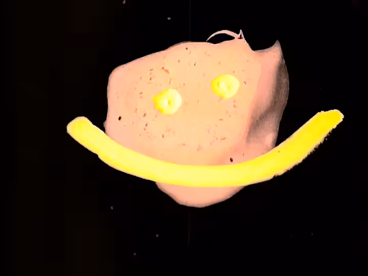 inscription c31a060d5c5c95643cc2a0dbeca45eb89efd1f676442f80231410affb694e2a6i21