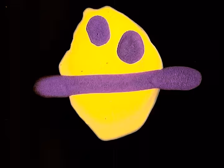 inscription cdf377d4fb41b137f121d62c96e05d688c2aa5b290ac2539f3e909b48b0ee4d7i2