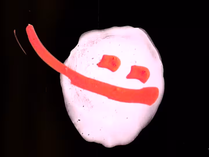 inscription cdf377d4fb41b137f121d62c96e05d688c2aa5b290ac2539f3e909b48b0ee4d7i26