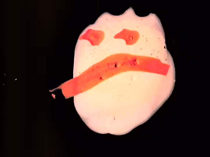 inscription cdf377d4fb41b137f121d62c96e05d688c2aa5b290ac2539f3e909b48b0ee4d7i29