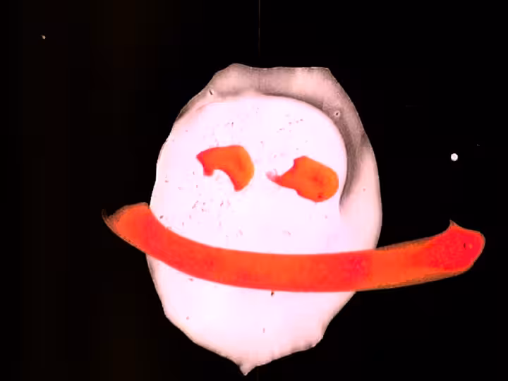 inscription cdf377d4fb41b137f121d62c96e05d688c2aa5b290ac2539f3e909b48b0ee4d7i3