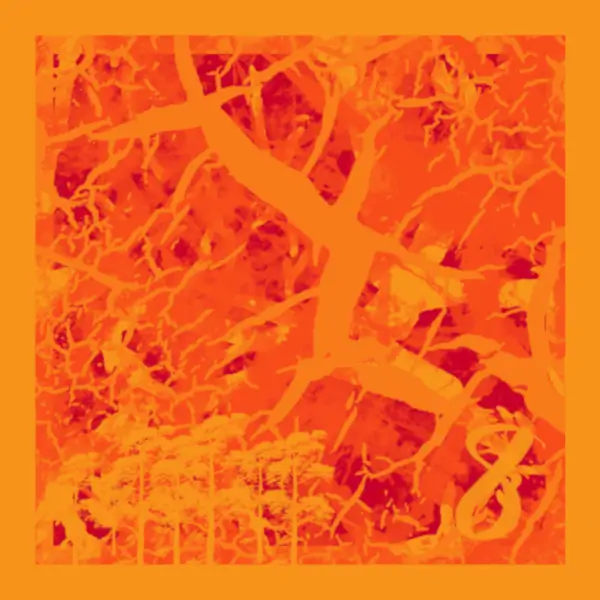 inscription d62e55a73d59ed837f29c1cd12e76fca6bd6b70faf49198526dd04afa5bd3fa7i9